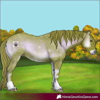 Horse Color:Watercolor Red Onyx 