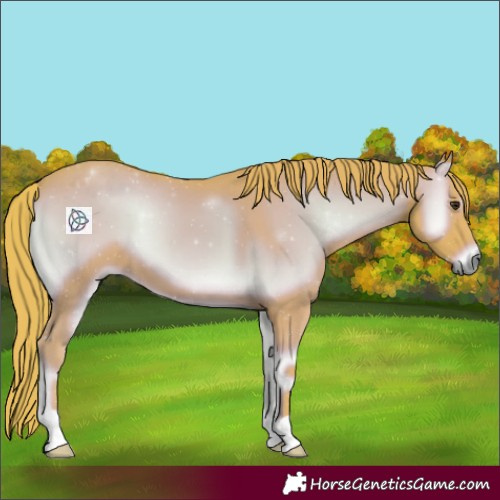 Horse Color:Watercolor Red Onyx 