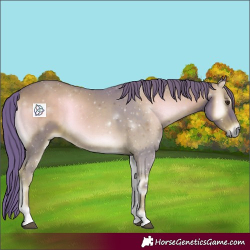 Horse Color:Watercolor Red Onyx 