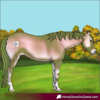 Horse Color:Watercolor Red Onyx 