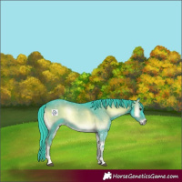 Horse Color:Watercolor Liver Red Onyx