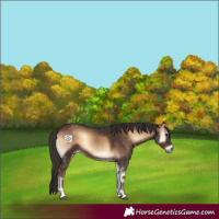 Horse Color:Liver Red Onyx 