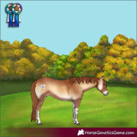 Horse Color:Red Onyx 