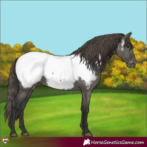 Horse Color:Grullo Near Fewspot 