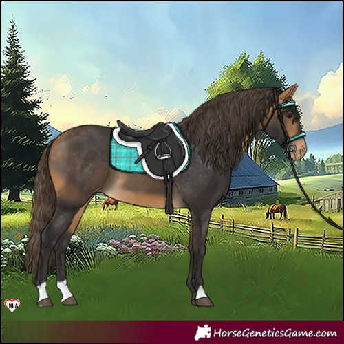 Horse Color:Buckskin Varnish