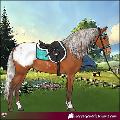 Horse Color:Silver Bay Snowcap