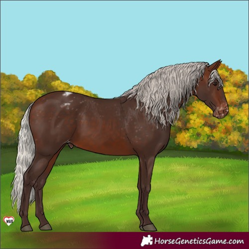 Horse Color:Silver Brown Varnish 