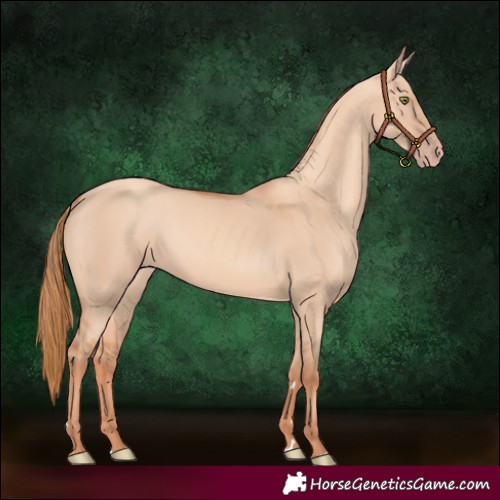 Horse Color:Gold Champagne Dun 