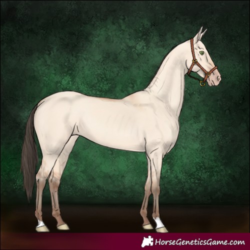 Horse Color:Amber Champagne Dun 