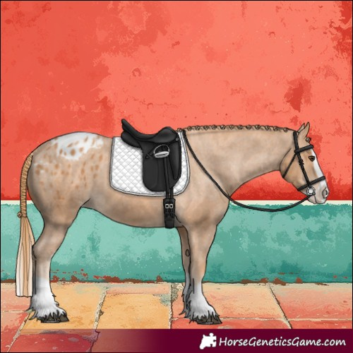 Horse Color:Chestnut Splash Blanket 