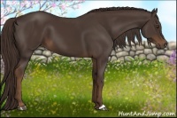 Horse Color:Liver Chestnut 