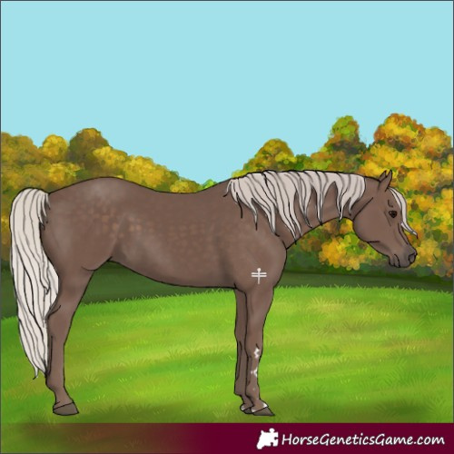 Horse Color:Silver Black 