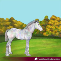 Horse Color:Nacre White Spotted Silver Brown Chinchilla Ice Onyx Sabino 
