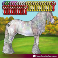 Horse Color:Nacre White Spotted Chocolate Silver Blue Onyx Chinchilla Ice 