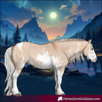 Horse Color:Silver Bay Dun Sabino Tobiano Rabicano 