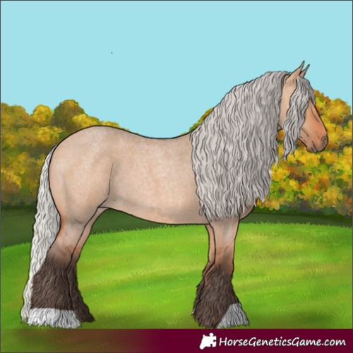 Horse Color:Silver Bay Roan Dun 