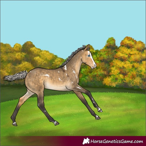 Horse Color:White Spotted Silver Buckskin Dun Splash Rabicano 