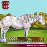 Horse Color:Nacre White Spotted Chocolate Silver Blue Onyx Chinchilla Ice 