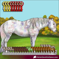 Horse Color:Nacre White Spotted Chocolate Silver Blue Onyx Chinchilla Ice