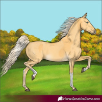 Horse Color:Palomino Splash  and Palomino Dun 
