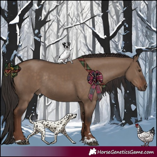 Horse Color:Liver Red Dun Rabicano 