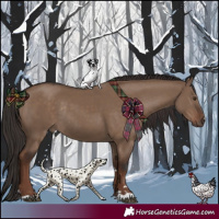 Horse Color:Liver Red Dun Rabicano 