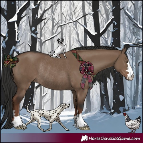 Horse Color:Liver Red Dun Rabicano