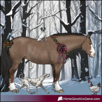 Horse Color:Liver Red Dun Rabicano 