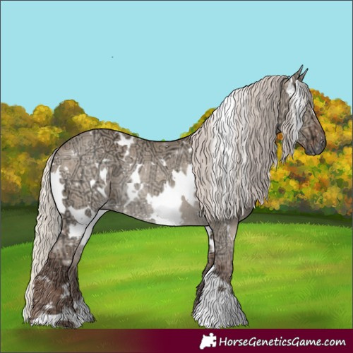 Horse Color:White Spotted Silver Grullo Ice Rabicano 