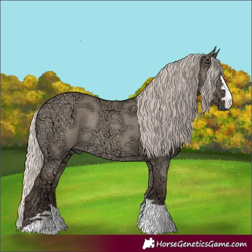 Horse Color:Silver Grullo Ice Rabicano 