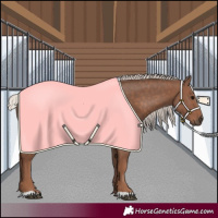 Horse Color:Silver Black 