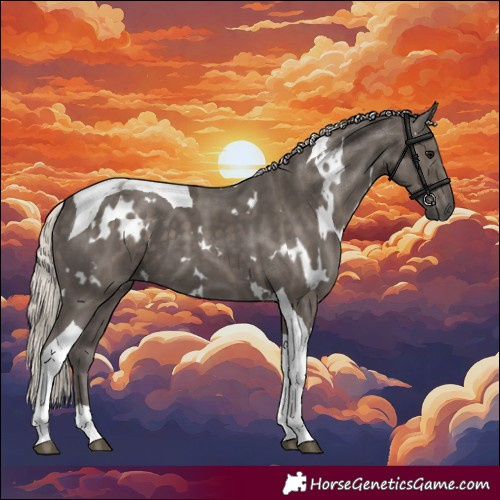Horse Color:White Spotted Silver Black Tobiano 