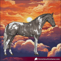 Horse Color:White Spotted Silver Black Tobiano 