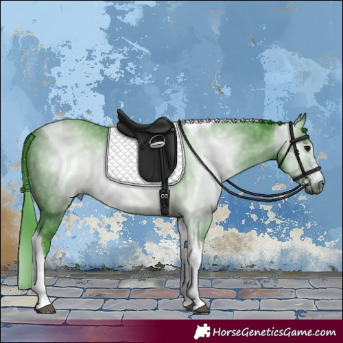 Horse Color:Gray Watercolor Brown Tobiano 