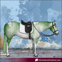 Horse Color:Gray Watercolor Brown Tobiano 
