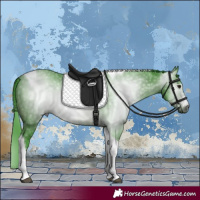 Horse Color:Gray Watercolor Brown Tobiano 