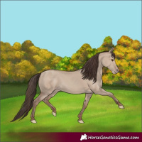 Horse Color:Classic Champagne Dun 