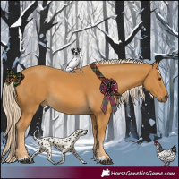 Horse Color:Palomino 