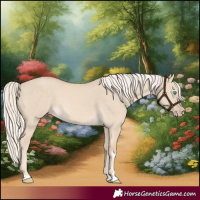 Horse Color:Cremello Dun