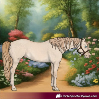 Horse Color:Perlino Dun 