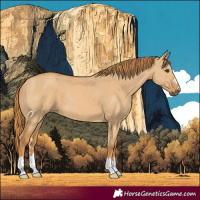 Horse Color:Red Dun