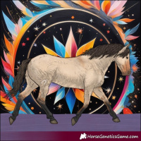Horse Color:Bay Dun
