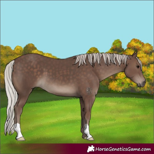 Horse Color:Silver Black 