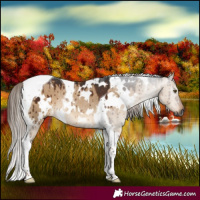 Horse Color:Gray White Spotted Liver Red Dun Tobiano Rabicano Brindle 
