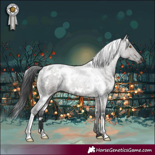 Horse Color:White Spotted Grullo Roan 