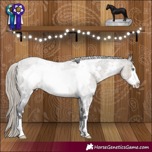 Horse Color:White Spotted Silver Smoky Grullo Roan Frame 