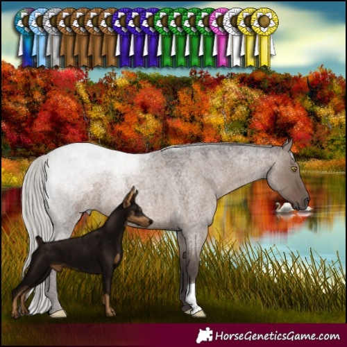 Horse Color:Silver Grullo Roan 