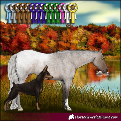 Horse Color:Silver Grullo Roan 