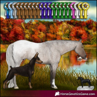 Horse Color:Silver Grullo Roan