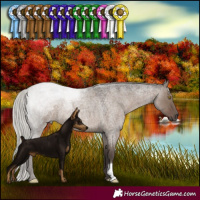Horse Color:Silver Grullo Roan 